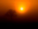 f3010   soeren loewenstein   sunset in fog