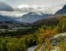 f8307 gilboa levi norway