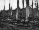 s6009b rene jensen the art of the forest