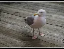 s8402a aage ole yssing