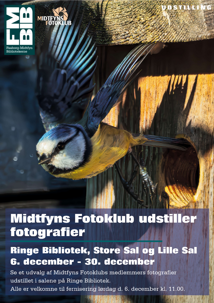 Plakat Midtfyns Fotoklub udstilling 2025 small