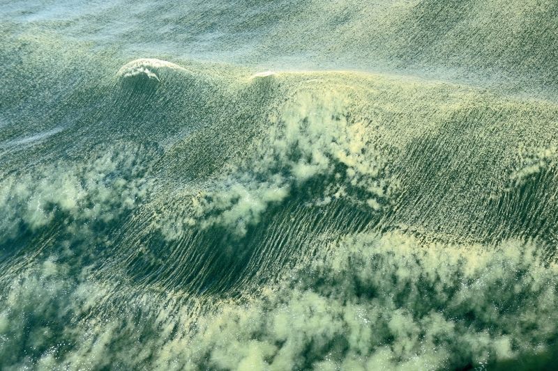 f3020 bente tukjaer alger