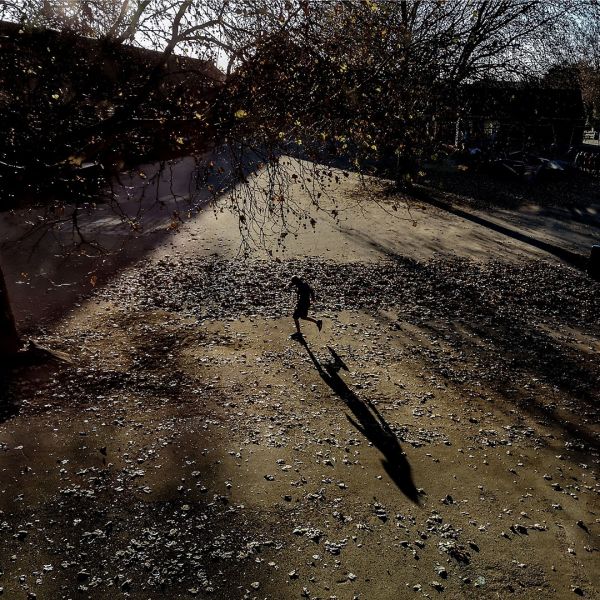 f6022 niels holmgaard   skolegaarden